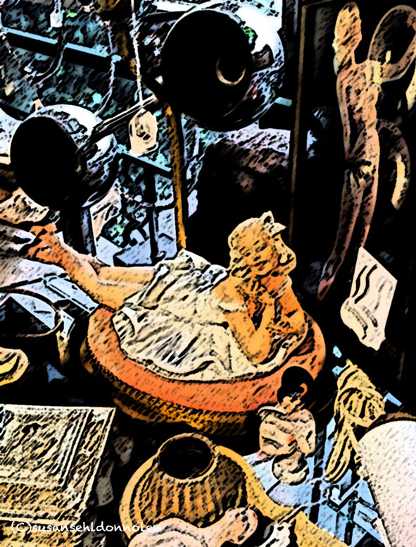 (c)susansheldonnolen