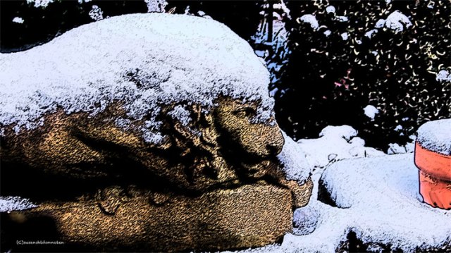 (c) susansheldonnolen