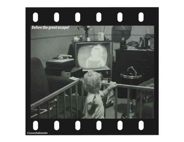 (c)susansheldonnolen