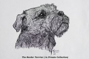 (c) Susansheldon nolen