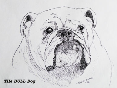 (c)susansheldonnolen