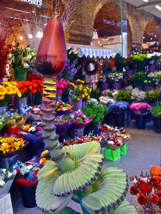 (c)susansheldonnolen