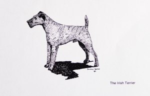 (c) susansheldonnolen