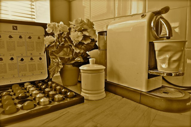 (c)susansheldonnolen