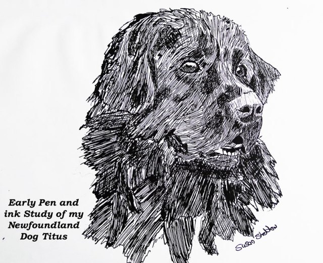 (c)susansheldonnolen