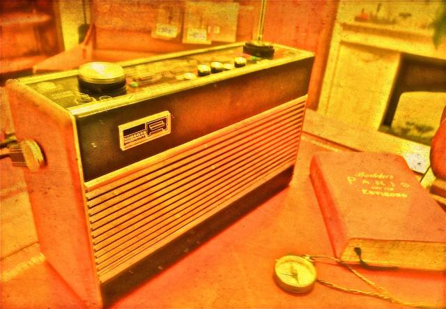 (c)susansheldonnolen