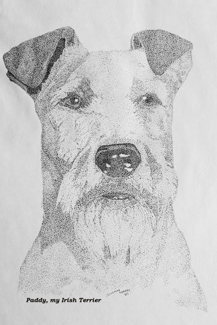 (C)susansheldonnolen