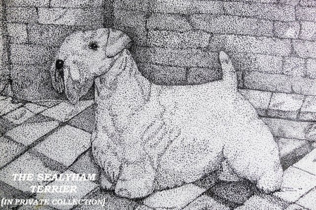 (c)susansheldonnolen