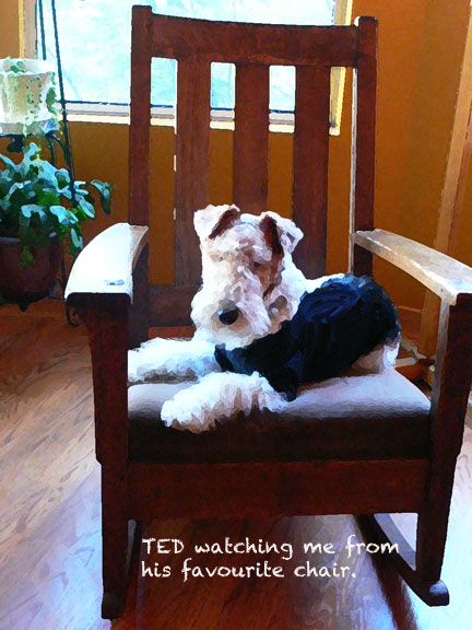 tedwatching (C)susansheldonnolen