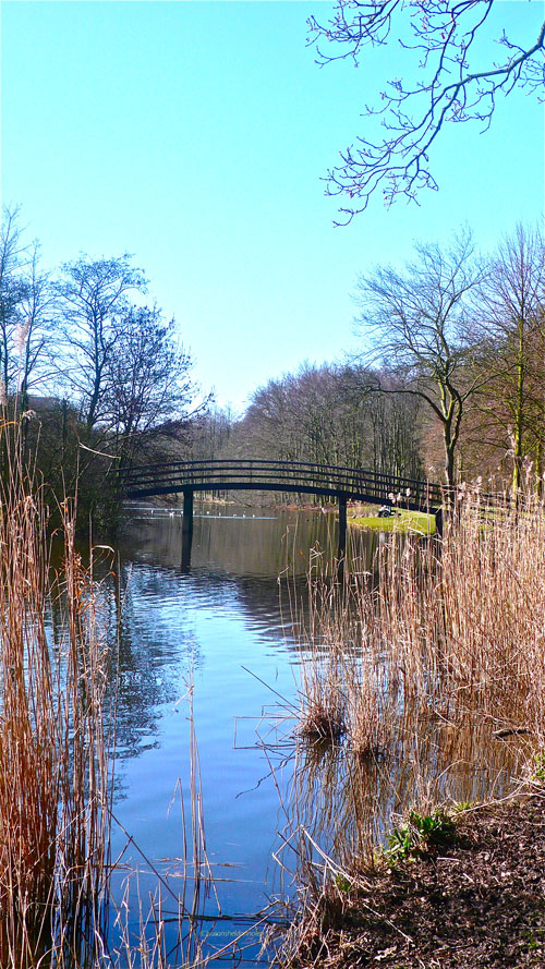 (c)susansheldonnolen