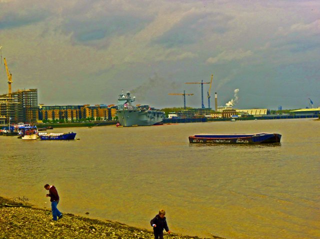 (c)susansheldonnolen