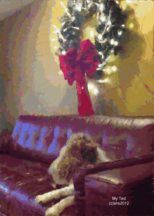 Ted dreaming of snow