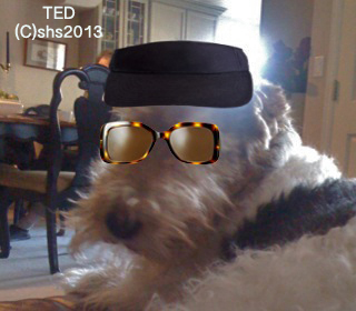 She has no idea what I get up to when she ponces off around the world. Save the sunglasses for next time? I think not!