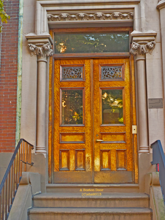 A golden Boston Door photographed by susan sheldon nolen