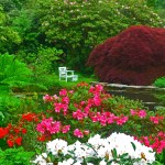 A perfect spot to ponder the world