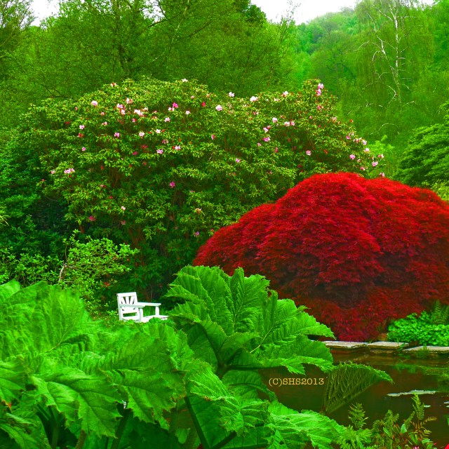 Photograph of Winston Churchill's Great Chair by susan sheldon nolen