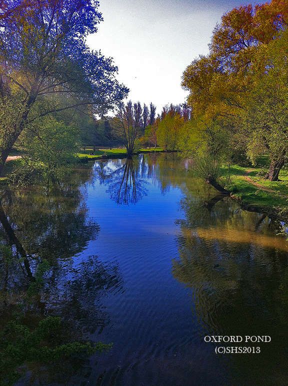 Photograph of the Oxford Pond by susan sheldon nolen