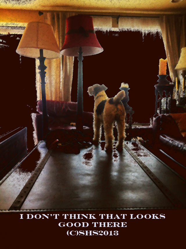 Ted doesn't approve of all the changes about to happen!