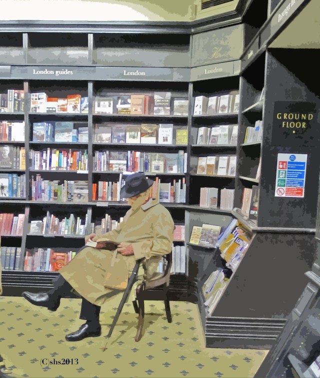 chair book shop by susan sheldon nolen