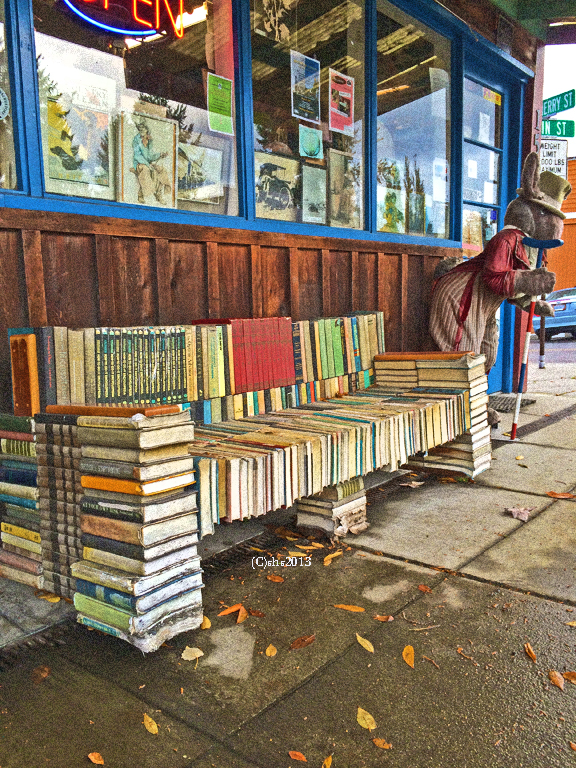photography by susan sheldon nolen of a bench made out of books!