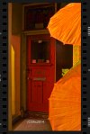 Susan Nolen's photograph of a door in Chinatown Victoria Canada