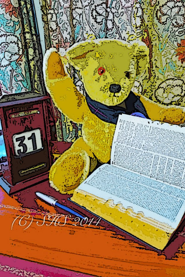 My Teddy Bear struggling to find the meaning of Arctophile in the smaller version of the Oxford English Dictionary