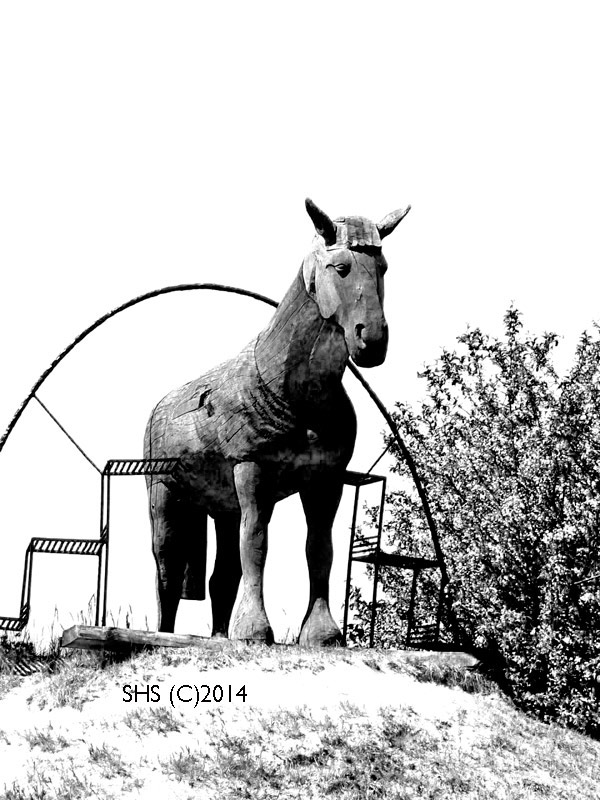 Susan Sheldon's photograph of a wooden horse