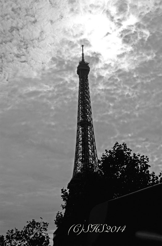 Paris as seen from the bus by susan sheldon nolen
