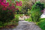 Photograph of horses waiting for breakfast on Rancho Primavera