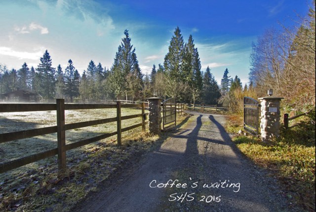Susan Sheldon's Photograph of A Pacific Northwest Equestrian Property