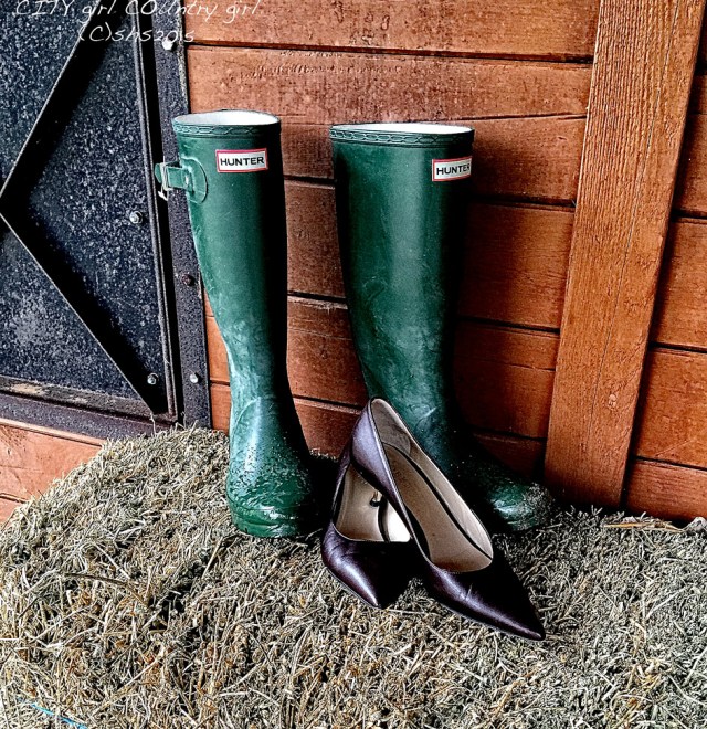Susan Nolen's Hunter Boots and Hobb's High heels