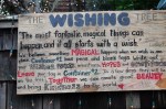 Susan Nolen's Photograph of the wishing tree in Seattle