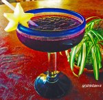 The Gondos Drink by Susan Nolen