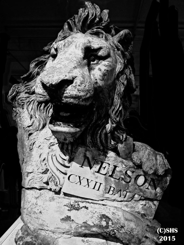 Susan Nolen's Portrait of Nelson's Lion