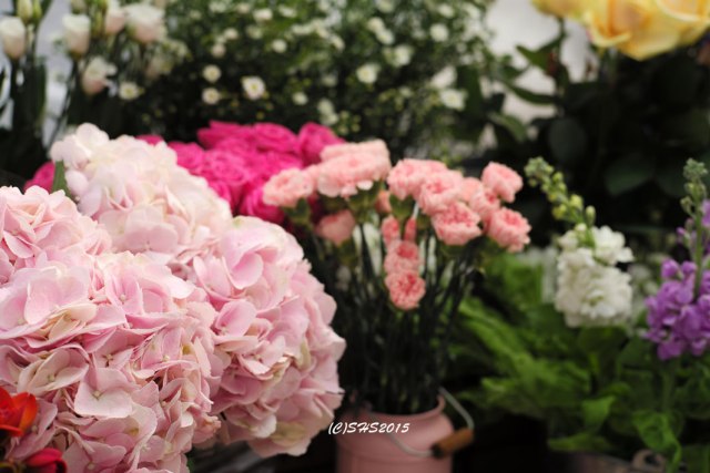 Photograph of London Market Flower by Susan Sheldon Nolen