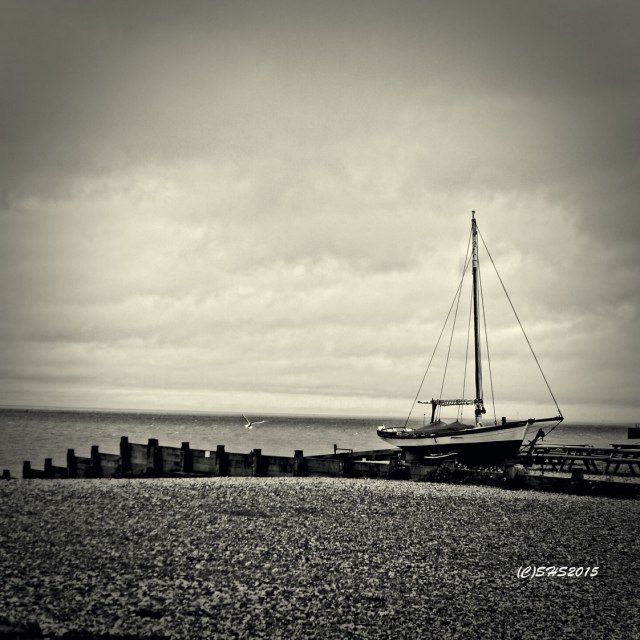 Susan Sheldon Nolen's Photo of a sail boat in whitstable net