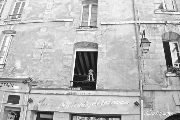 Susan Nolen's Photograph of the Marais Paris